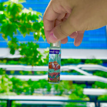Load image into Gallery viewer, Early Access Frutiger Aero By Unjust Fragrance Oil Roll-On